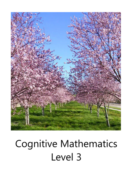 Cognitive Math Level 3
