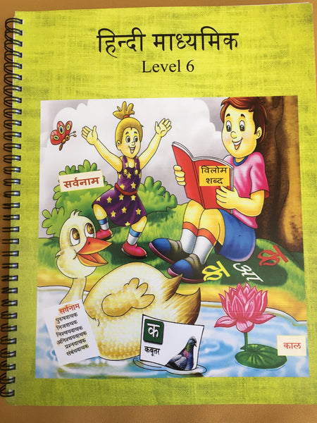 Hindi book Level 6